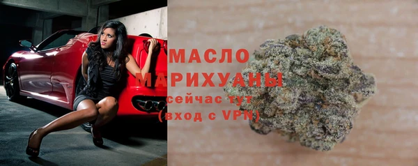 крисы Бородино