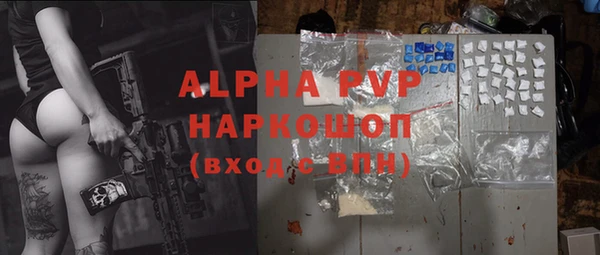 крисы Бородино