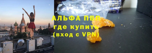 крисы Бородино