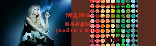 крисы Бородино