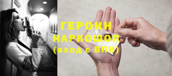 крисы Бородино