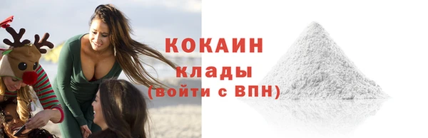 крисы Бородино