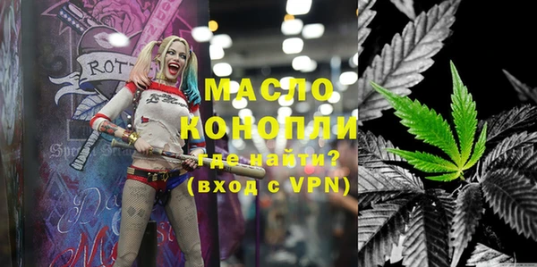 крисы Бородино