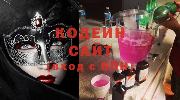 крисы Бородино