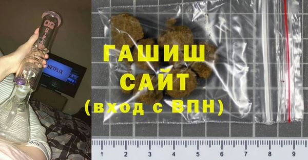крисы Бородино