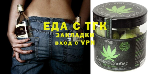 крисы Бородино