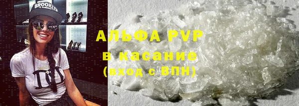 крисы Бородино