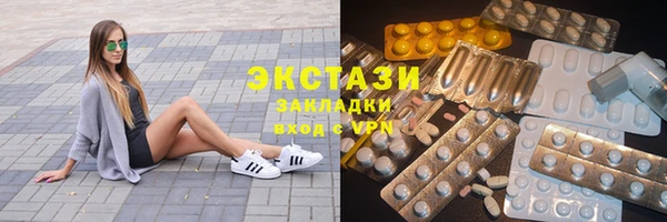 крисы Бородино