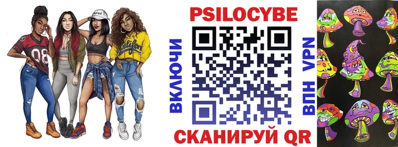 Псилоцибиновые грибы Psilocybine cubensis Химки