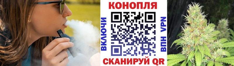 закладки  Химки  Шишки марихуана гибрид 
